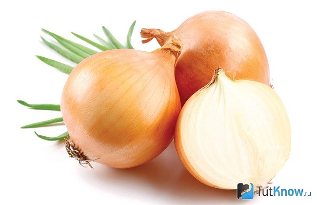 Лук