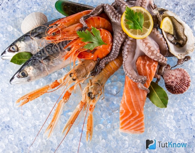 Свежие морепродукты