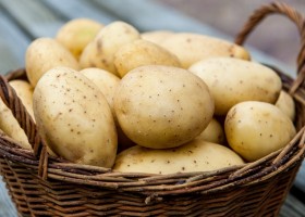 Картофель при диете: польза и вред