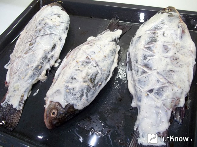 Рыба смазана соусом