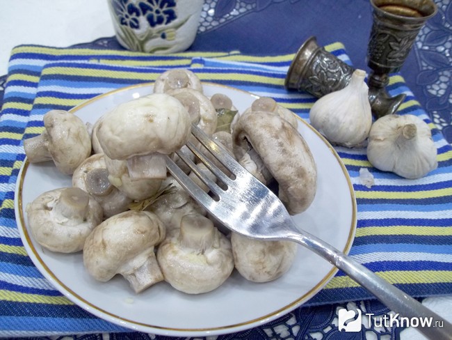 Готовая закуска