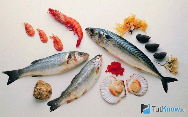 Морепродукты