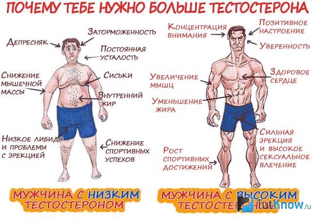 Симс 4 странное увеличение веса у мужчин