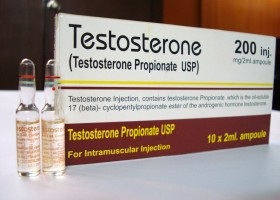 Особенности регуляции уровня тестостерона