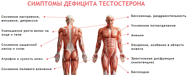 Признаки недостатка тестостерона