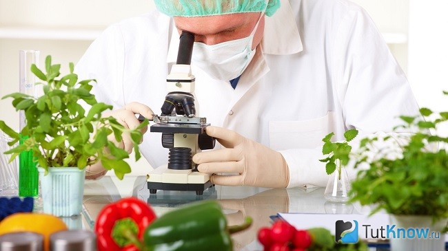 Лабораторные исследования продуктов