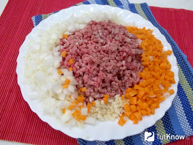 Мясо, морковь, лук и чеснок перекручены на мясорубке