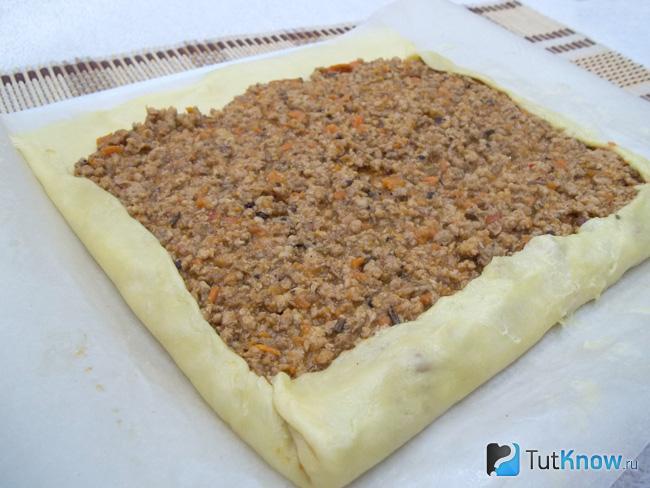 На раскатанное тесто выложена мясная начинка