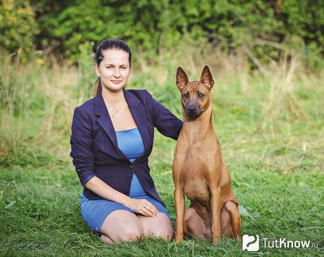 Тайский риджбек с хозяйкой