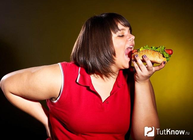 Толстая женщина ест бутерброд