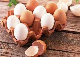 10 яиц в день на диете – польза или вред?