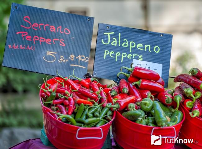 Продажа перца серрано
