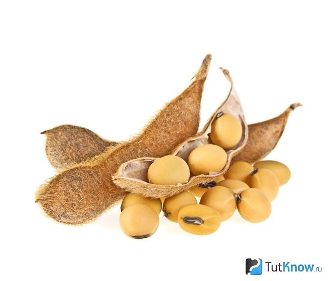 Что такое соя в продуктах питания. Смотреть фото Что такое соя в продуктах питания. Смотреть картинку Что такое соя в продуктах питания. Картинка про Что такое соя в продуктах питания. Фото Что такое соя в продуктах питания