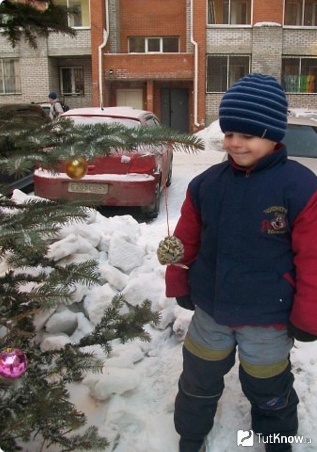 Мальчик вешает свою поделку на ёлочную ветку