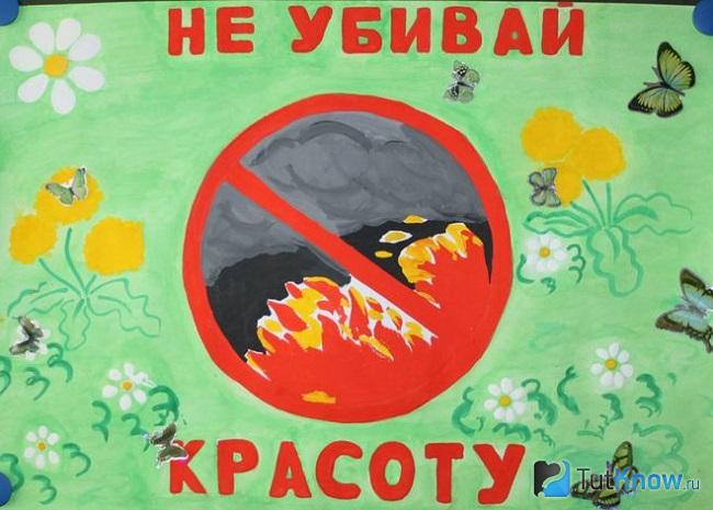 Плакат, предостерегающий от лесных пожаров