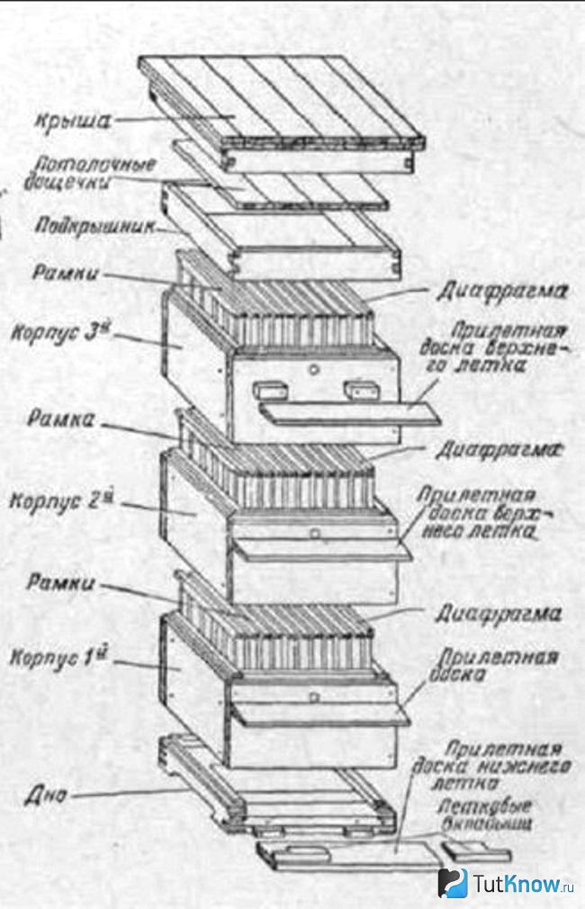 Схема строения улья для пчел