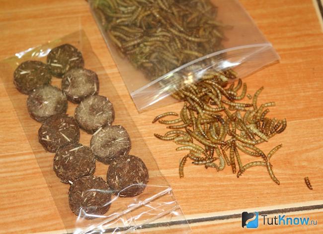 Печенье для луговых собачек и сушенные мучные черви