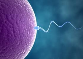 Курс стероидов и зачатие детей - особенности