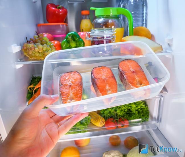 Хранение рыбы в холодильнике