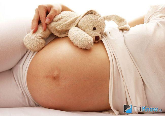 пробиотики какие лучше при похудении. Смотреть фото пробиотики какие лучше при похудении. Смотреть картинку пробиотики какие лучше при похудении. Картинка про пробиотики какие лучше при похудении. Фото пробиотики какие лучше при похудении