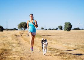 Как быстро похудеть, бегая с собакой?