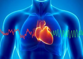 Как проявляется синдром спортивного сердца?