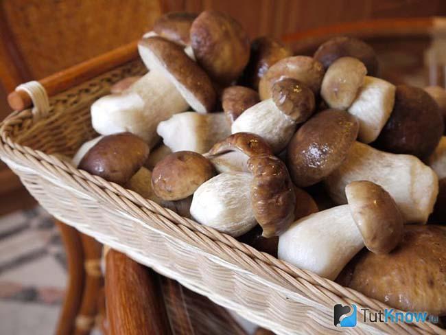 Простой рецепт маринованных белых грибов