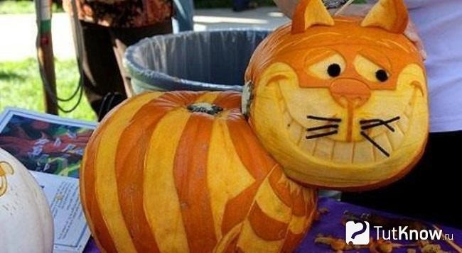 Котик из тыквы