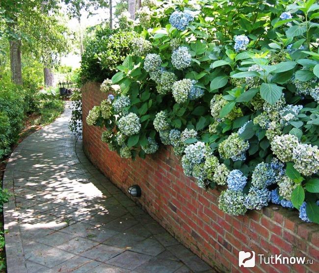 Подпорная стена из кирпича
