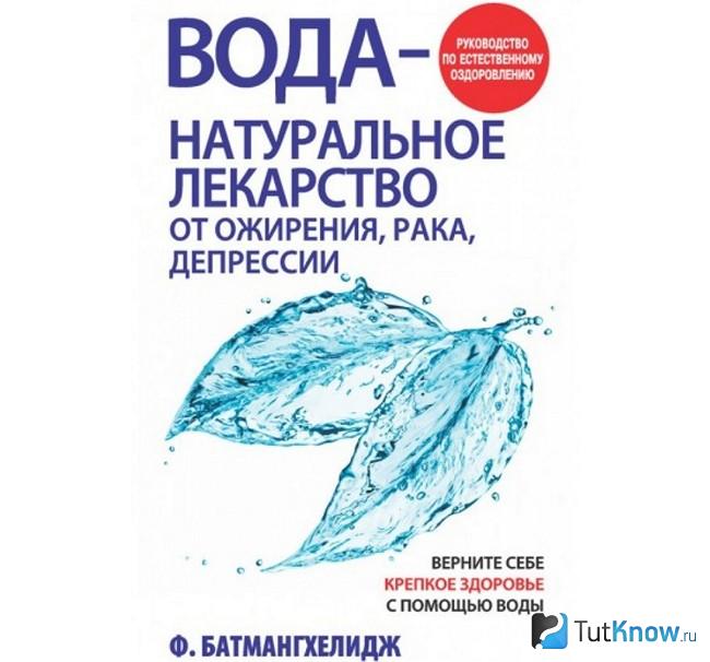 Обложка книги Фирейдона Батмангхелиджа