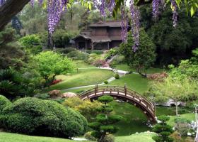 Как сделать японский сад
