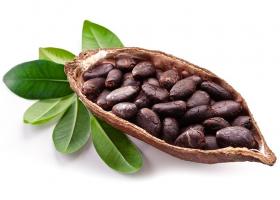 Применение масла какао для ухода за волосами и кожей