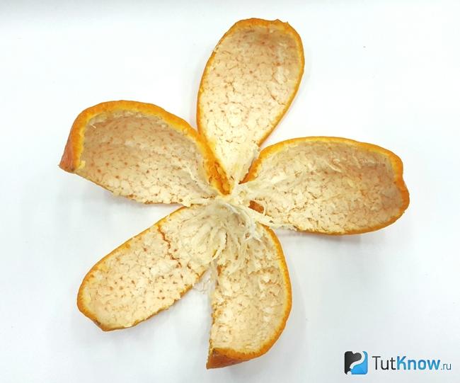 Пряность цедра апельсина