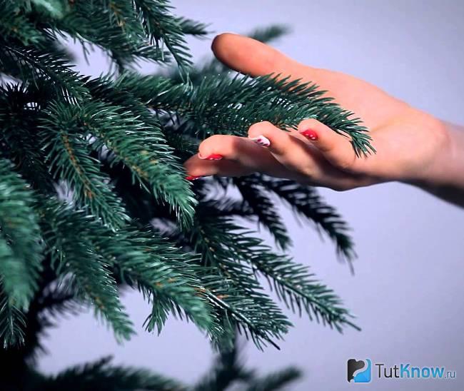 Проверка хвои на искусственной новогодней елке