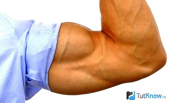 Рост мышечной массы после 30 лет мужчине thumbnail