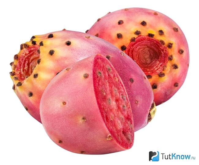 Съедобные плоды кактуса опунция польза thumbnail