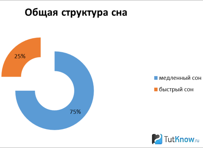 Позы во время сна и что они обозначают