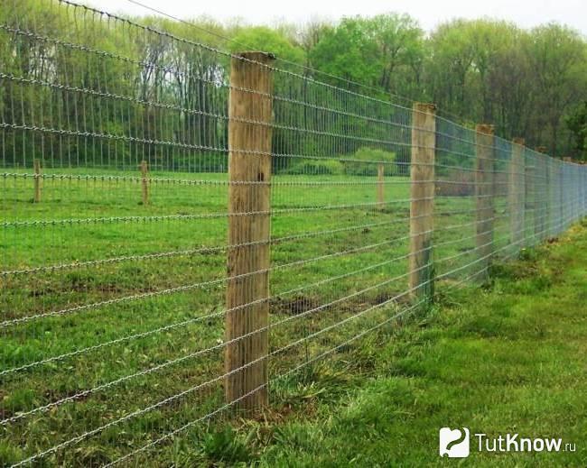 Ограждение из сетки-казачки как временное решение для дачи