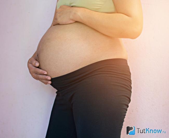 Цитрус угли что это. Смотреть фото Цитрус угли что это. Смотреть картинку Цитрус угли что это. Картинка про Цитрус угли что это. Фото Цитрус угли что это