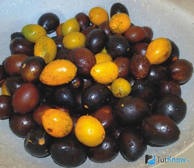 Умари на тарелке
