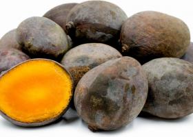 Кастури — калимантанское манго