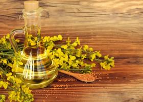 Рапсовое масло — отечественный аналог оливкового