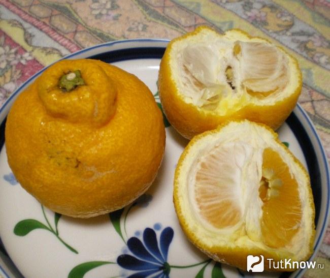 Японский лимон