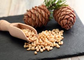 Орехи пинии — полезная и вкусная замена кедровых