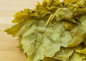 Виноградные листья — традиционный ингредиент долмы