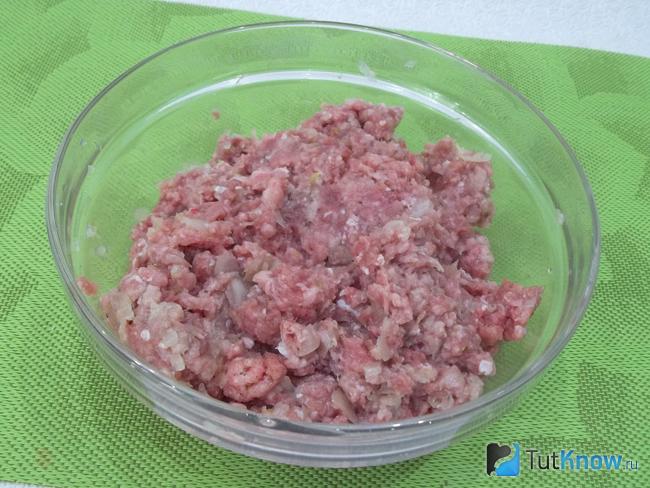 Мясо и лук перемешаны и приправлены специями