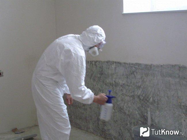 Профессиональная обработка стен от грибка