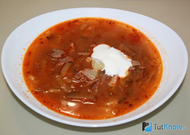 Мясная солянка из лосятины
