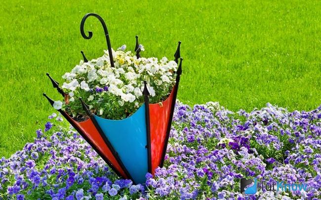 Цветник в форме зонтика крупным планом