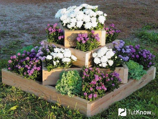 Дачный цветник в несколько уровней